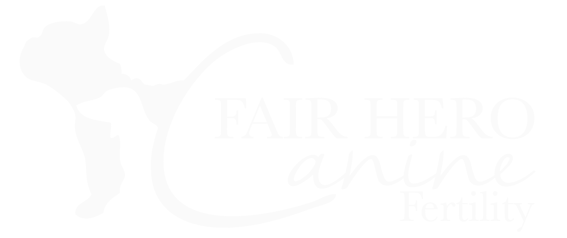 Fair Hero